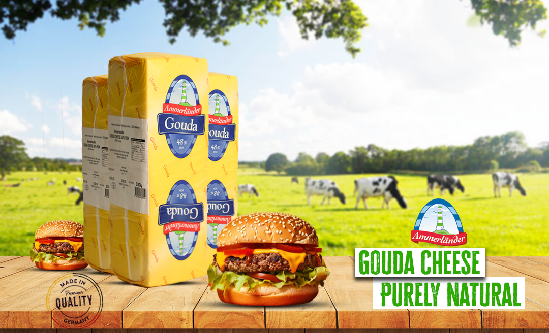 Gouda Cheese