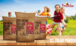 Watermelon Ice cream Powder-25kg