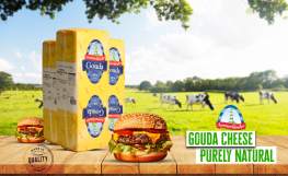 Gouda Cheese