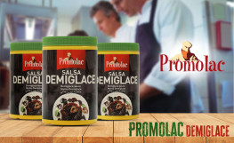 Demiglace Stock Powder