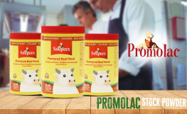 Beef Stock Powder